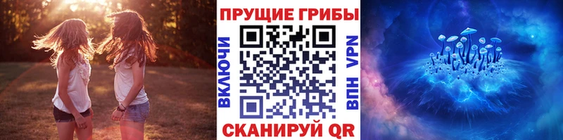 mega ONION  Морозовск  Галлюциногенные грибы GOLDEN TEACHER 